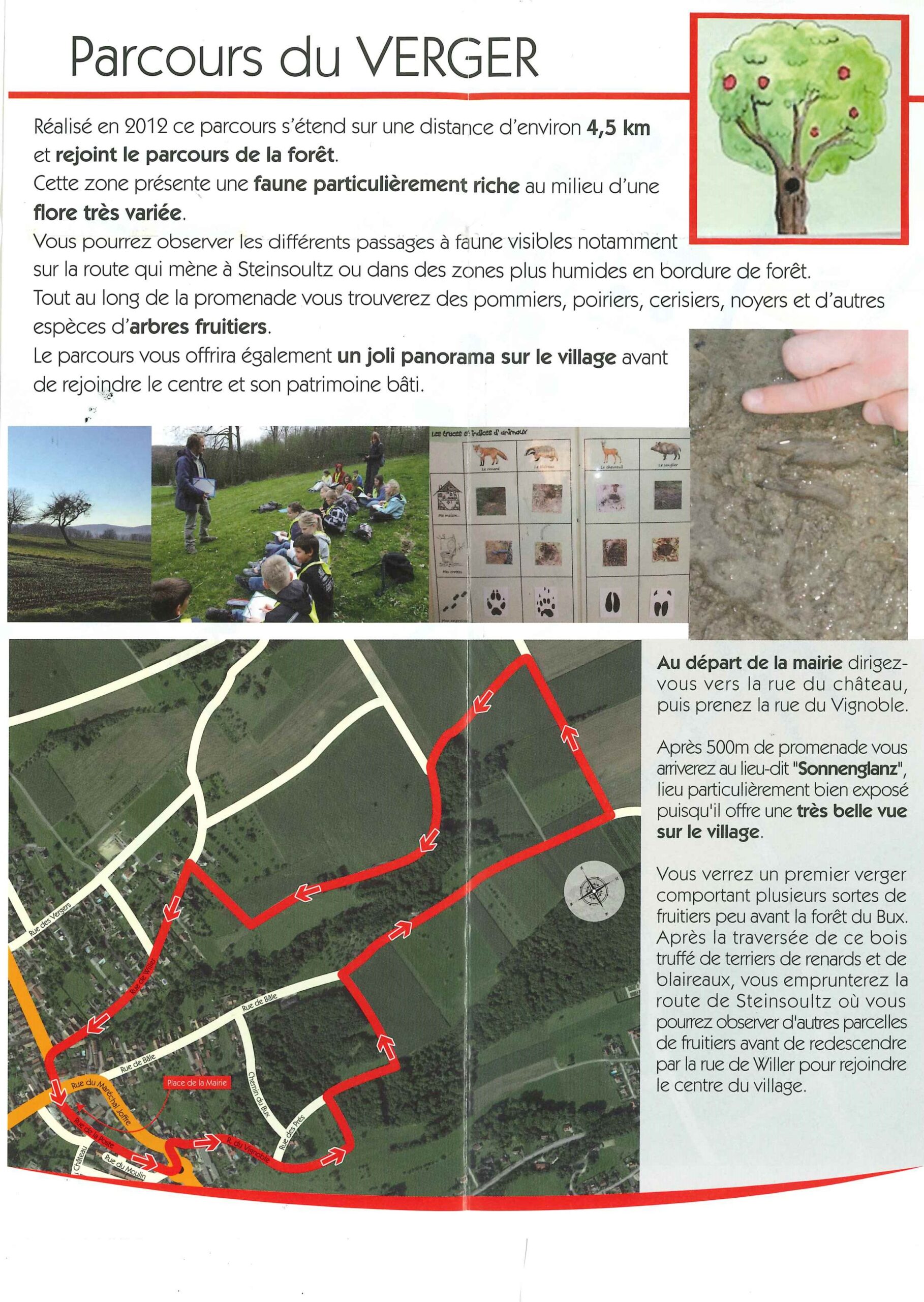 carte parcours du verger du sentier pédagogique